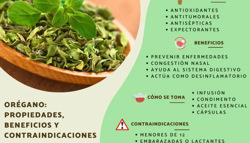 Orégano: sus propiedades antioxidantes, antitumorales y antisépticas, beneficios y contraindicaciones.