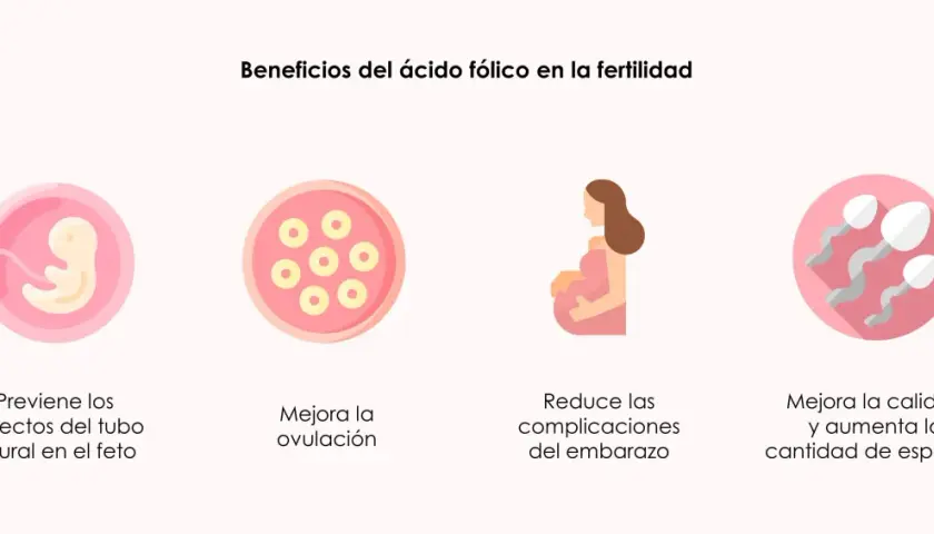 Ácido fólico para quedar embarazada: mejora ovulación, previene defectos fetales, reduce complicaciones y aumenta calidad/cantidad de esperma.