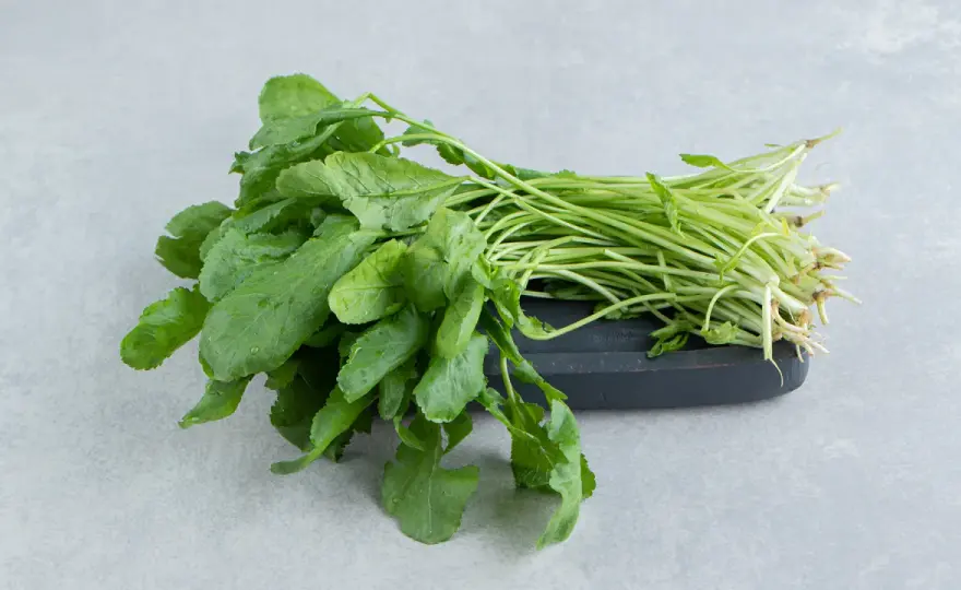 Berro - ¿Por qué esta hoja verde merece más atención?