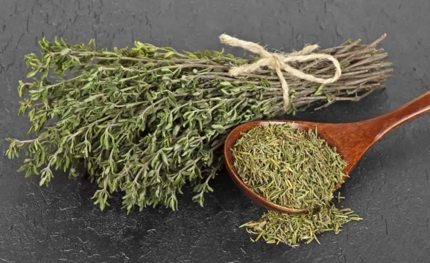 Infusión de tomillo - Usos, beneficios y cuándo tener cuidado