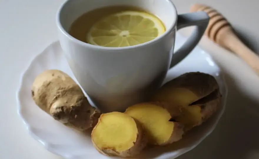 Infusión de jengibre - Prepara la perfecta y evita errores