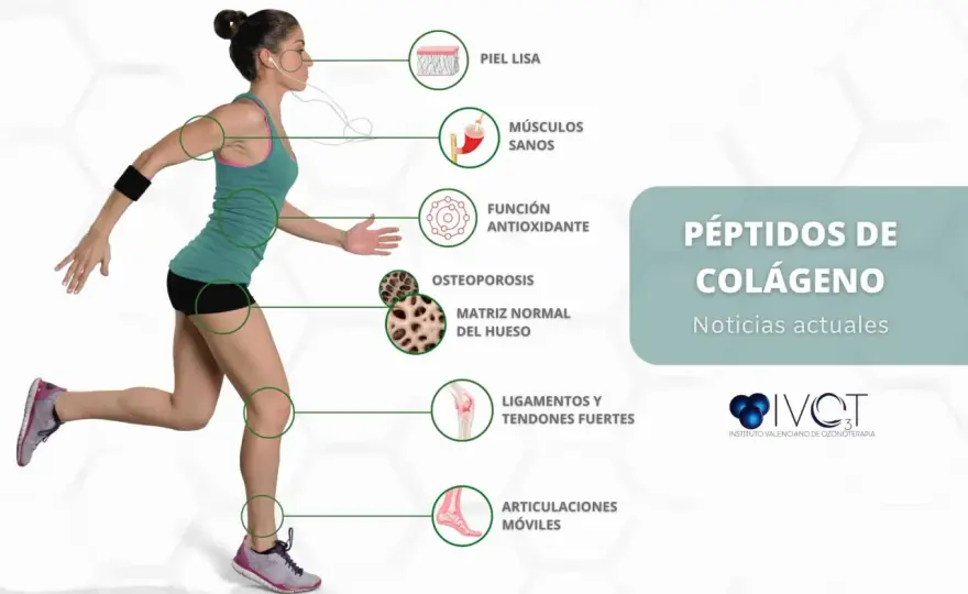 Colágeno para articulaciones - ¿Funciona o es marketing?