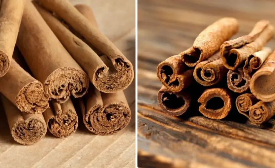 Tipos de canela - ¿Cuál elegir para cocina, salud o infusiones?