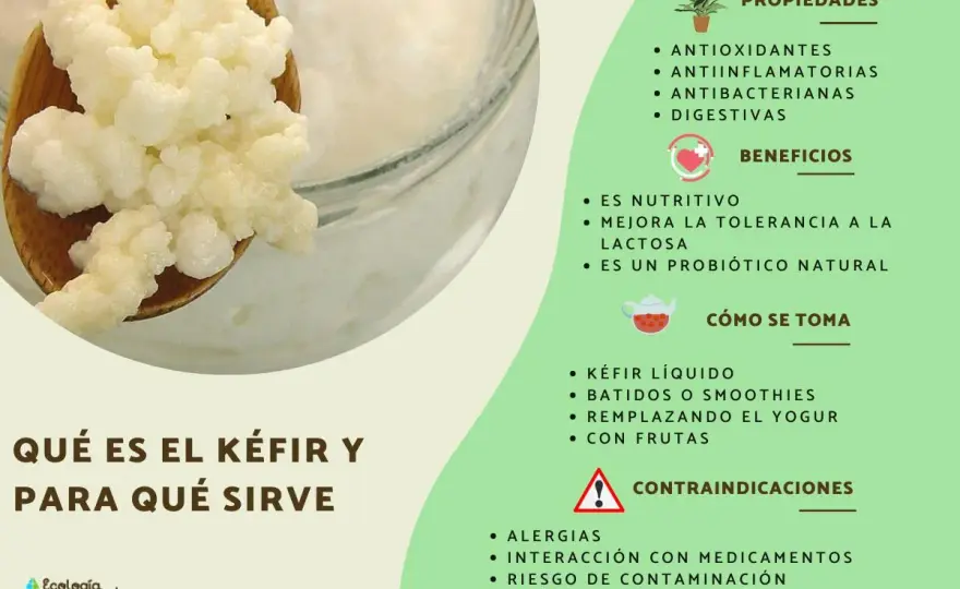 Kéfir - ¿Es tan bueno como dicen? Guía completa y beneficios