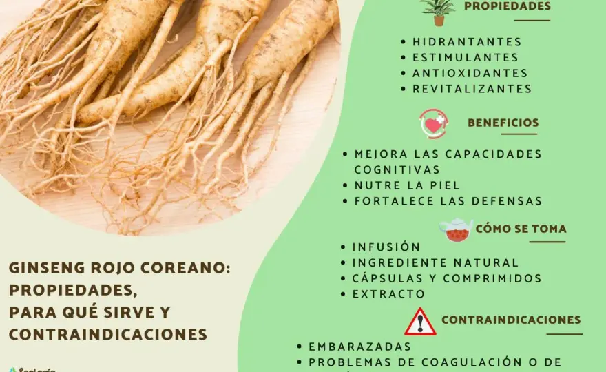 Ginseng - ¿realmente funciona? Guía de uso y beneficios