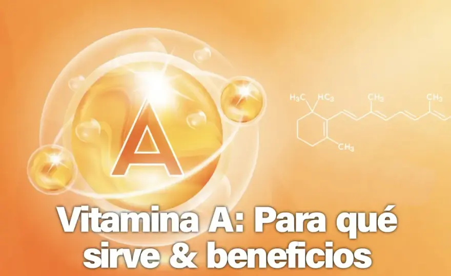 Vitamina A: Fuentes, absorción y cuándo evitar suplementos