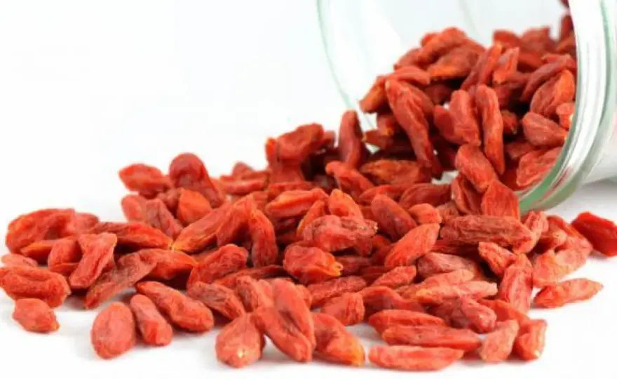 Bayas de Goji - ¿Realmente son un superalimento?