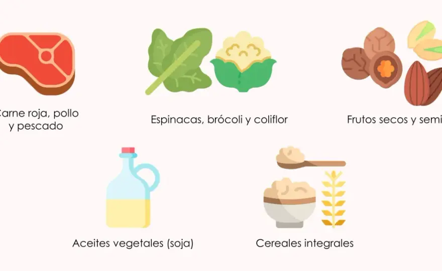 CoQ10 en alimentos: cómo integrarla en tu dieta mediterránea