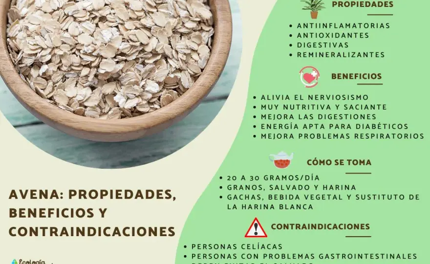 Harina de avena - Usos, beneficios y cómo sacarle partido