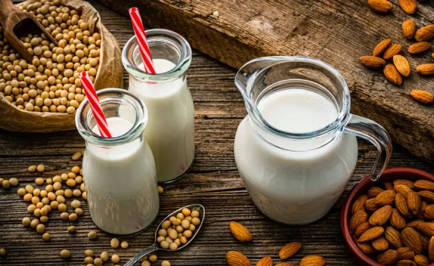 Bebidas vegetales - ¿Cuál elegir y por qué? Guía práctica