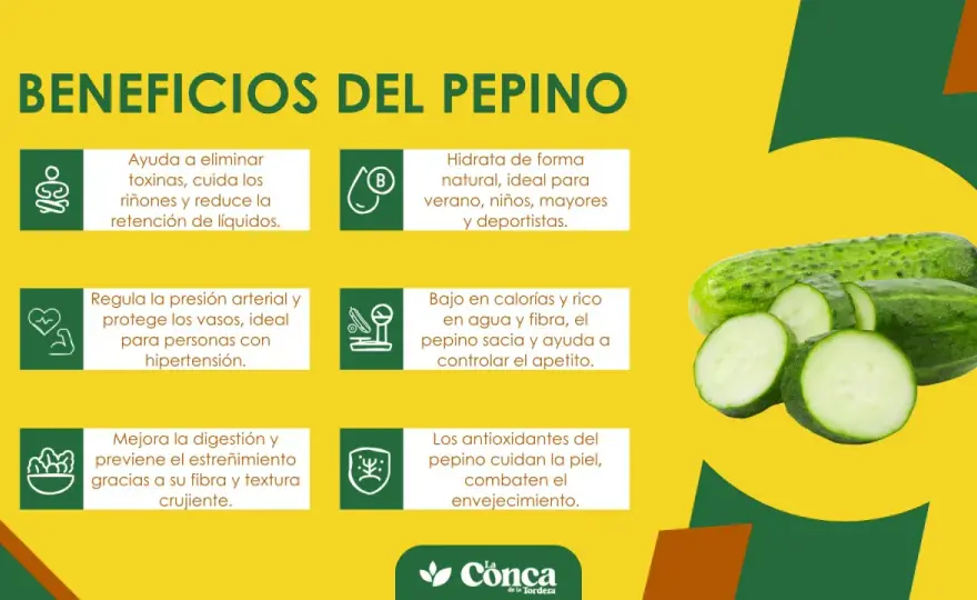 Pepino - ¿Qué aporta de verdad? Beneficios y cómo tomarlo
