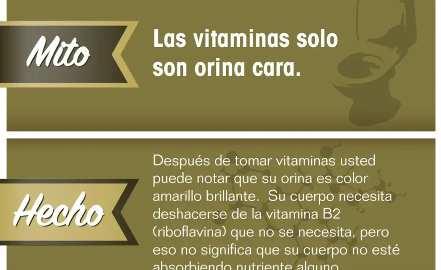 Vitamina E: ¿Realmente la necesitas o es solo un mito?