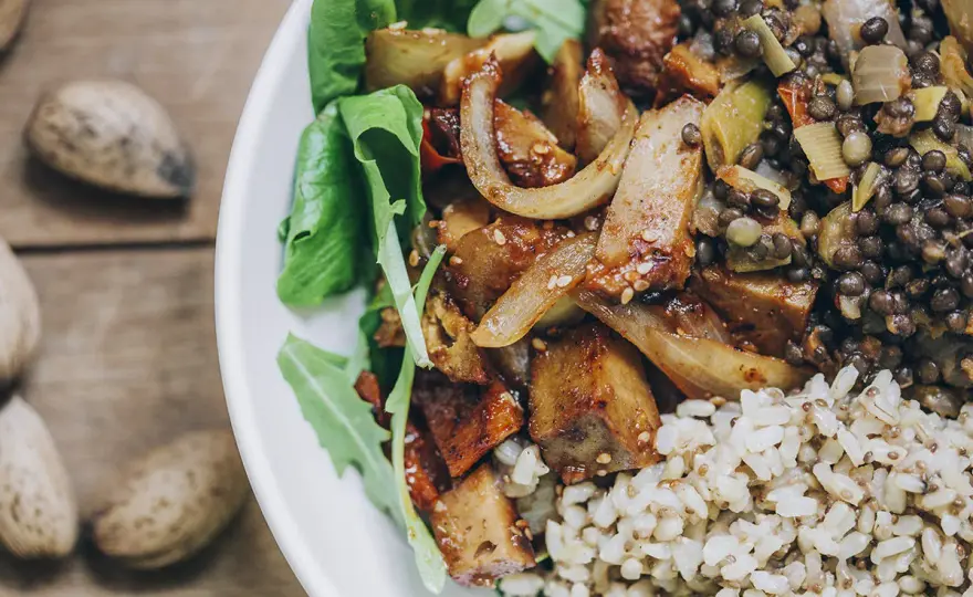 Seitán - ¿Carne vegetal o base proteica? Guía completa