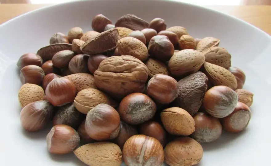 Frutos secos - ¿Engordan? La clave está en la ración