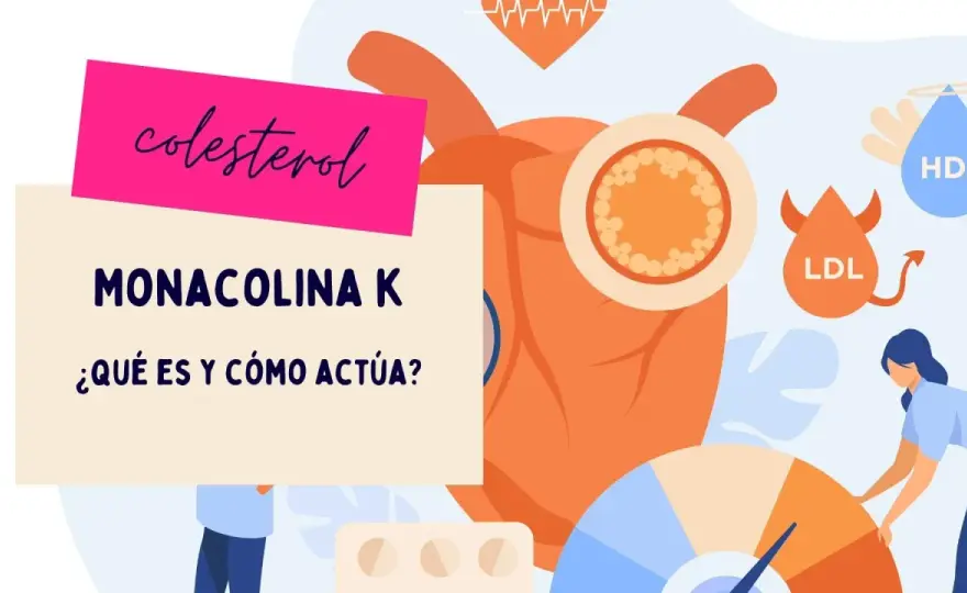 Monacolina K - ¿Funciona para el colesterol? Guía completa