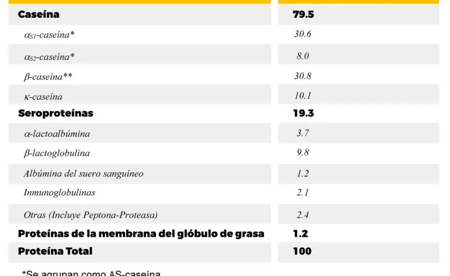 Caseína - ¿Cuándo usarla y qué formato elegir?