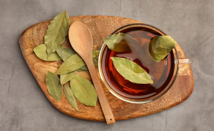 Infusión de laurel - ¿Milagro o apoyo digestivo? La verdad
