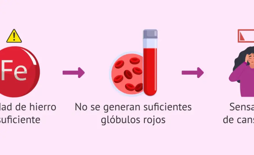 Hierro y menstruación - ¿Realmente afecta tu ciclo?