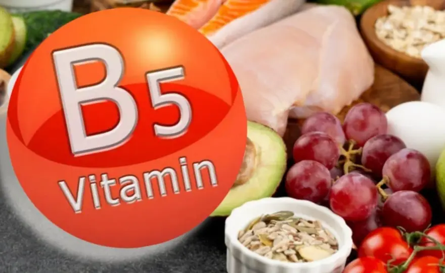 Vitamina B5 - ¿Para qué sirve y cuándo suplementarla?