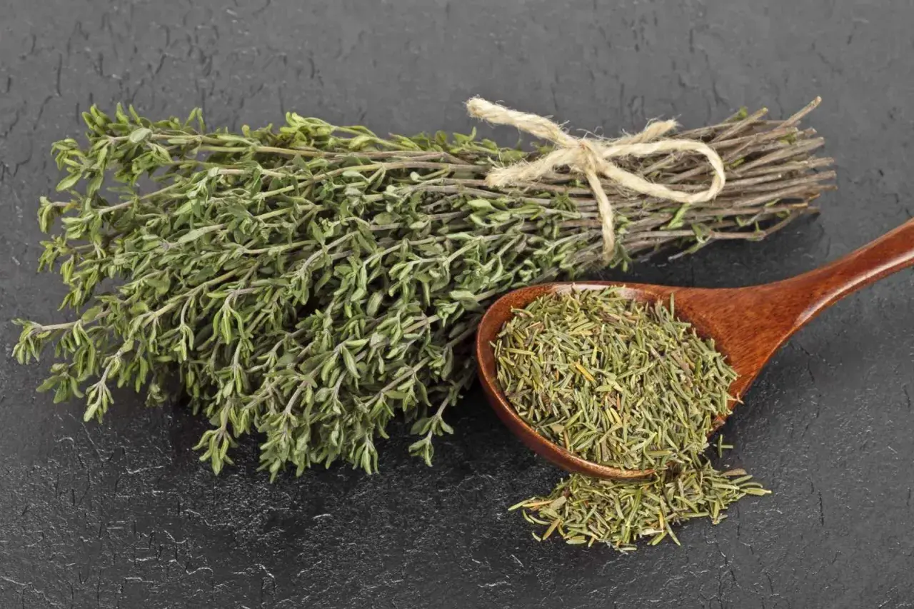 Manojo de tomillo fresco atado con cuerda y una cuchara de madera llena de tomillo seco, listo para preparar una infusión de tomillo.