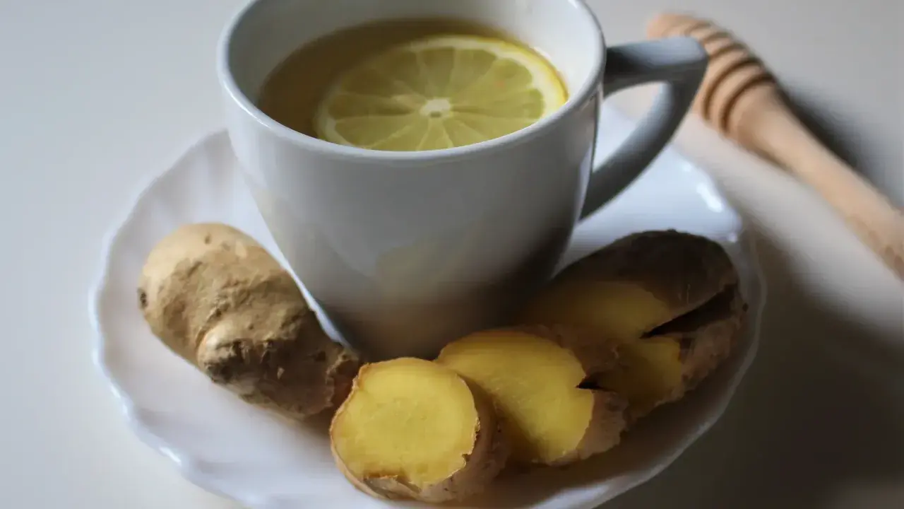 Taza de infusión de jengibre con rodaja de limón y raíz de jengibre fresca. Un palito de miel descansa al lado.