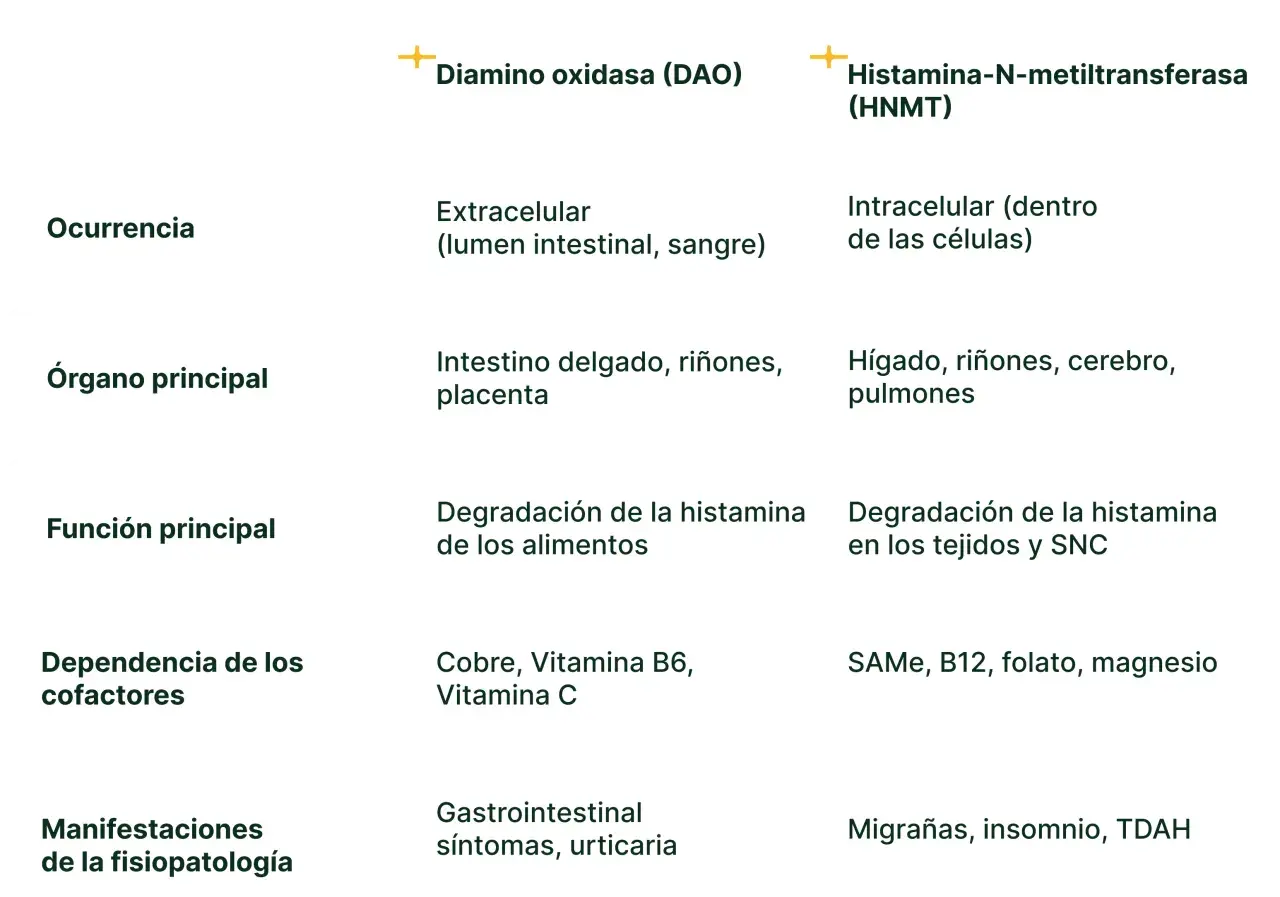 Tabla comparativa de DAO y HNMT. Un déficit de DAO puede causar síntomas gastrointestinales y urticaria.