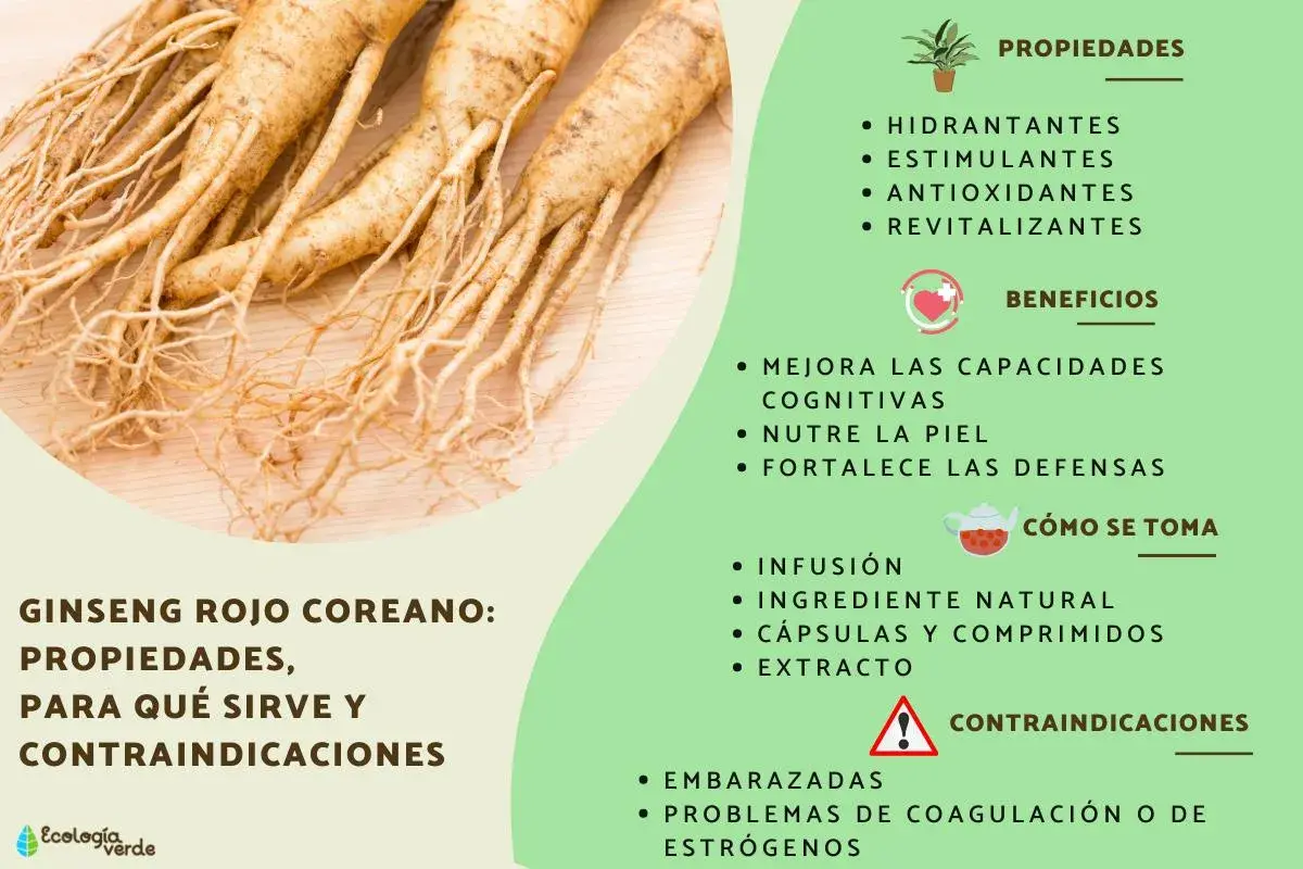 Raíces de ginseng rojo coreano. Sus propiedades incluyen ser hidratante, estimulante y revitalizante. Mejora la cognición y fortalece defensas.