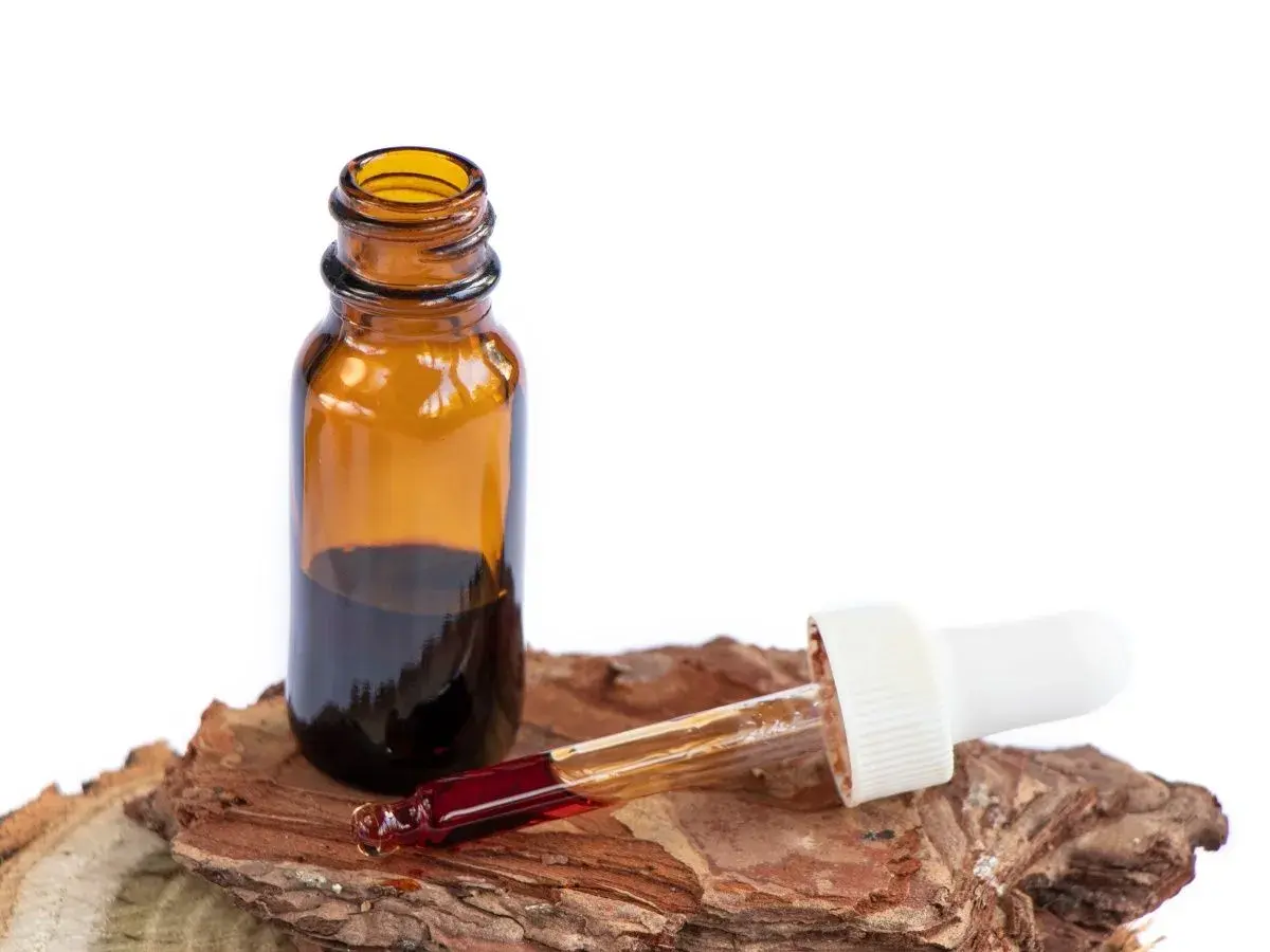 Frasco ámbar con extracto oscuro y gotero. Se exploran las **pycnogenol propiedades** en este líquido, sugerente de bienestar natural.