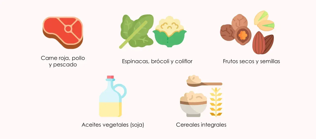 Alimentos ricos en coenzima q10: carne, pescado, espinacas, brócoli, frutos secos, aceites y cereales integrales.