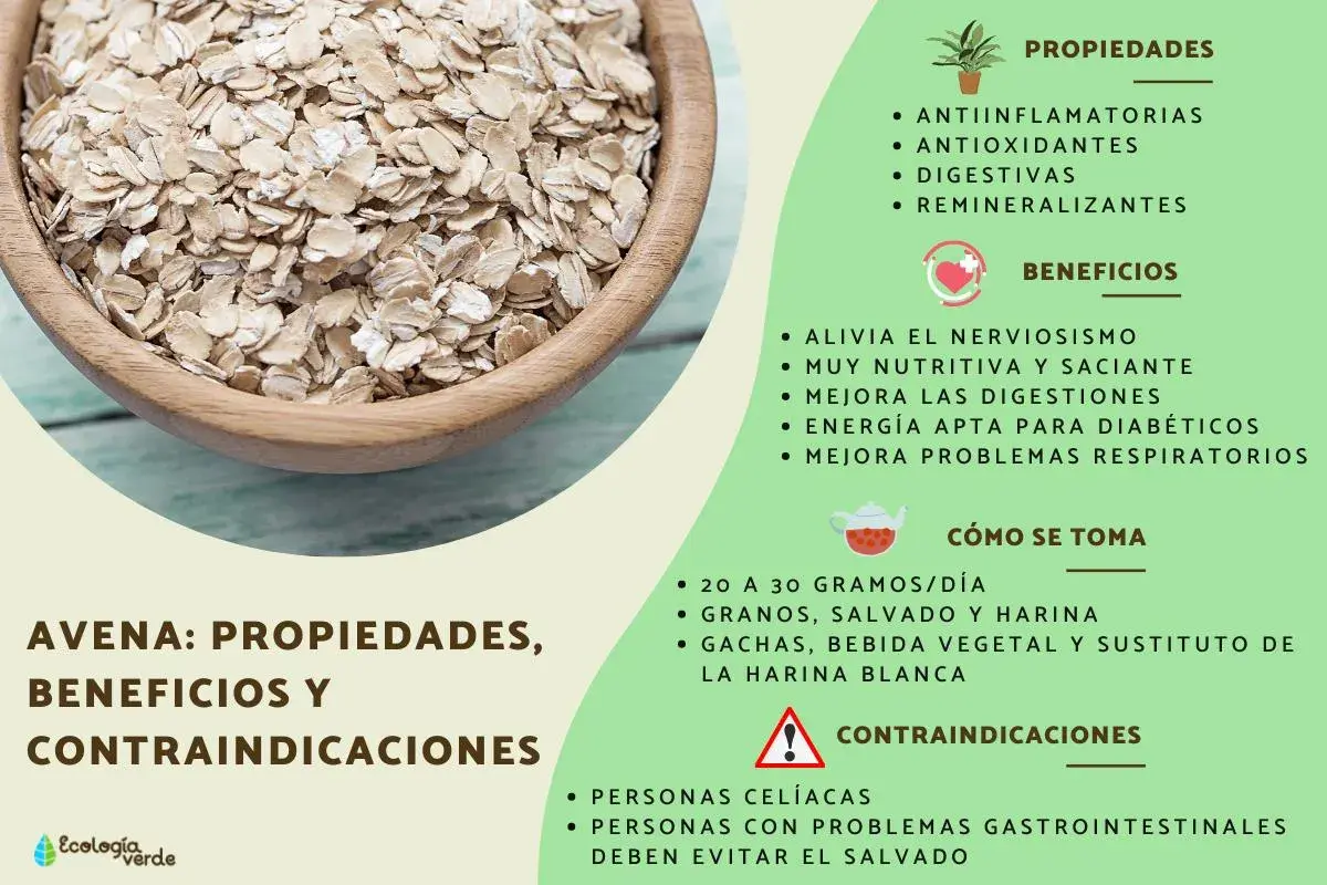 Tazón de avena en hojuelas, ideal para preparar harina de avena. La imagen detalla sus propiedades, beneficios y cómo consumirla.