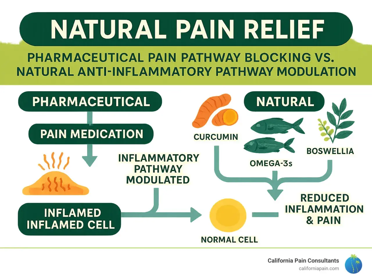 Comparación de alivio del dolor: farmacéutico vs. natural. El natural usa curcumina, omega-3 y boswellia para reducir inflamación, como corticoides naturales.