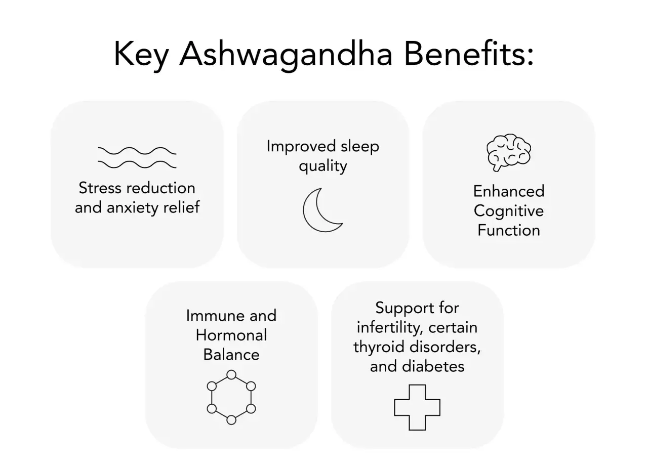 Ashwagandha KSM-66 para que sirve: reduce estrés, mejora sueño, cognición, balance hormonal e inmune, y apoya contra infertilidad, tiroides y diabetes.