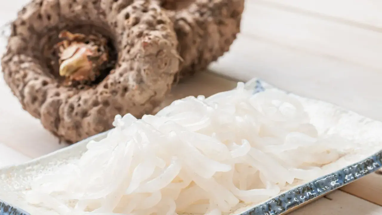 Raíz de konjac que es: un tubérculo grande y fibroso junto a un plato de fideos translúcidos hechos de konjac.