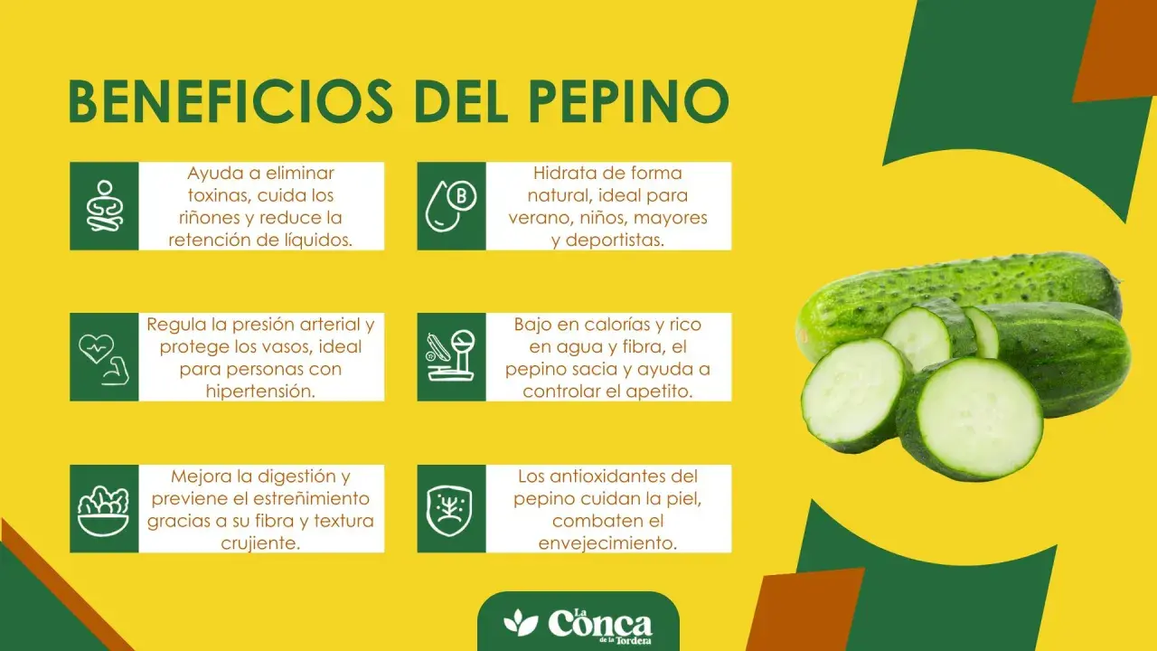 Descubre los beneficios del pepino: hidrata, depura, regula la presión, mejora la digestión y cuida la piel. ¡Un aliado natural!