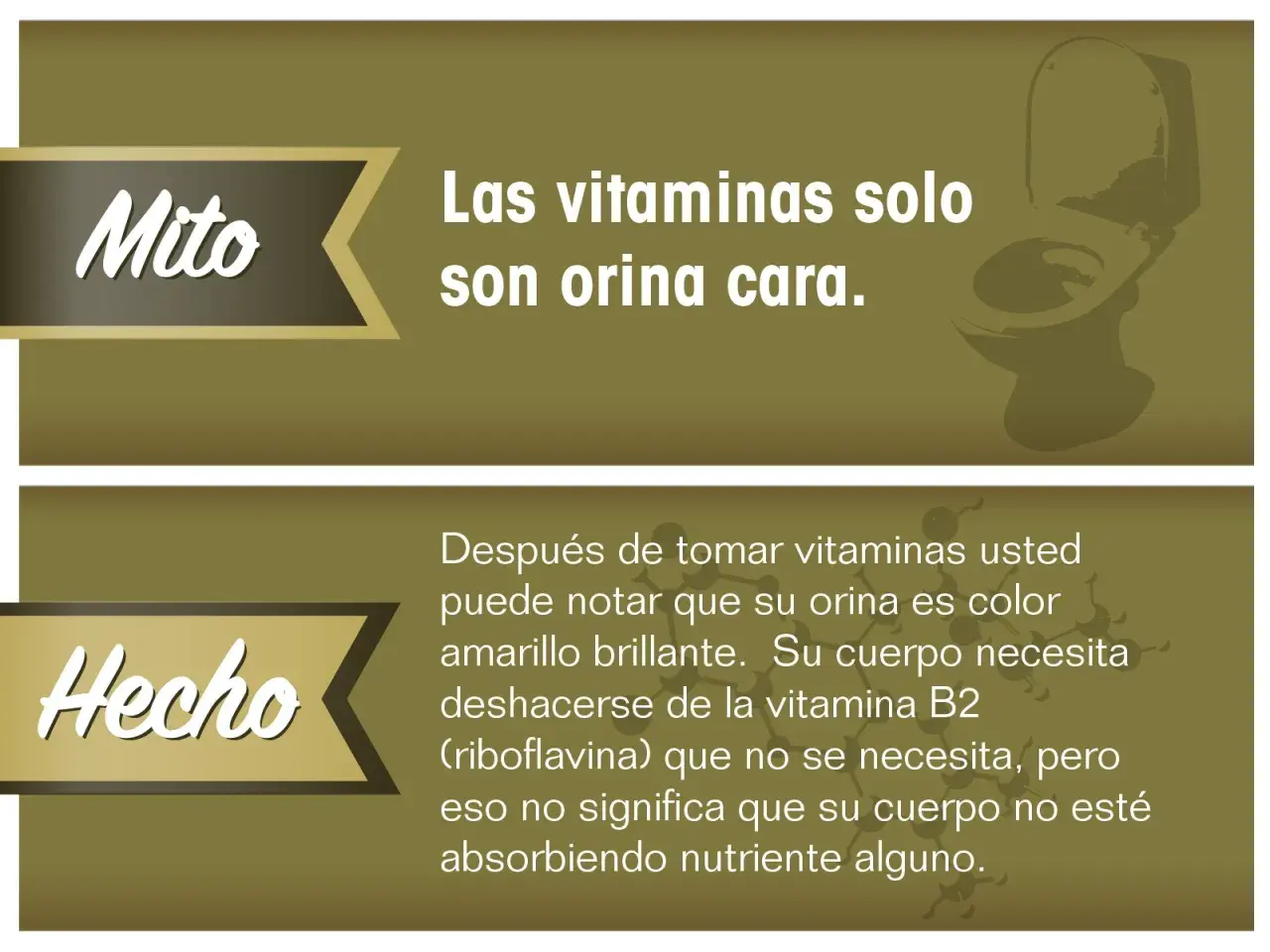 El mito de que las vitaminas son orina cara se desmiente. La vitamina B2 (riboflavina) puede tornar la orina amarilla brillante, pero el cuerpo la elimina si no la necesita, sin afectar la absorción de otros nutrientes.
