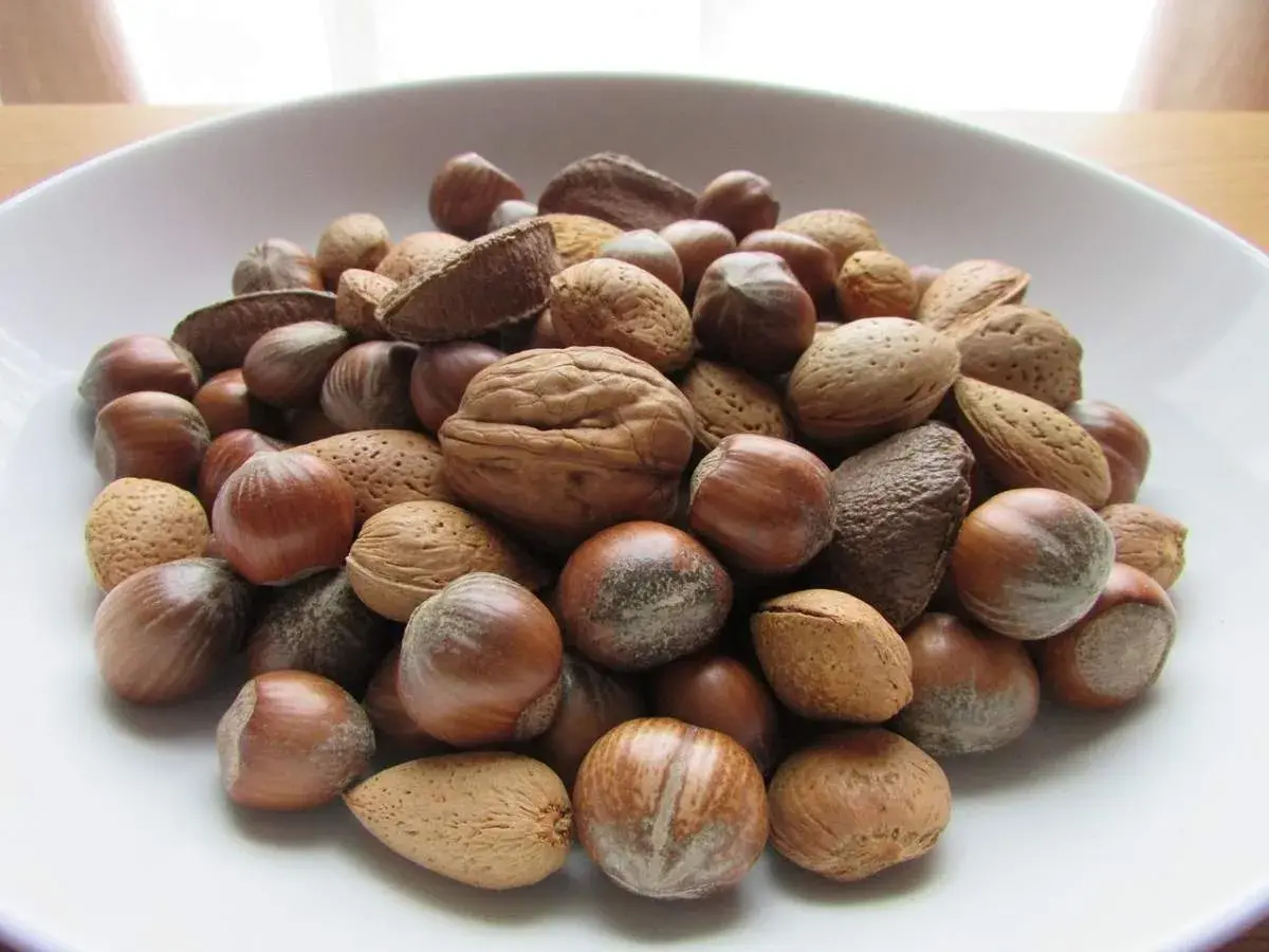 Un cuenco lleno de frutos secos variados: almendras, avellanas, nueces y anacardos. ¡Cuidado, los frutos secos engordan si abusas de ellos!