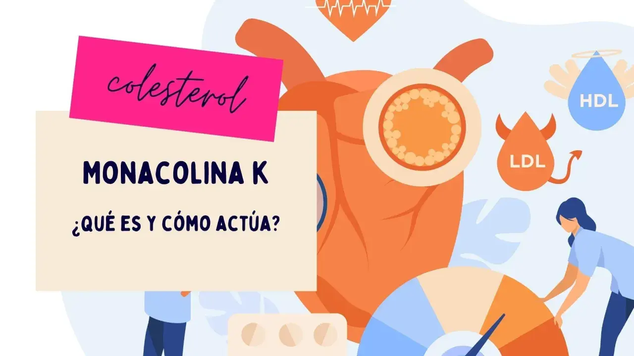 Monacolina K, un componente de la levadura de arroz rojo, ayuda a controlar el colesterol. Ilustración de corazón, LDL y HDL.