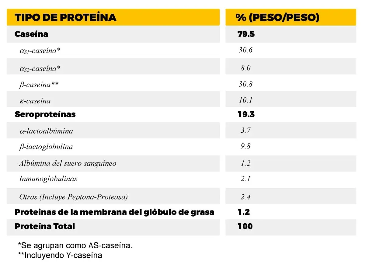 Tabla muestra que la caseína es el tipo de proteína principal en la leche, representando el 79.5% del total.