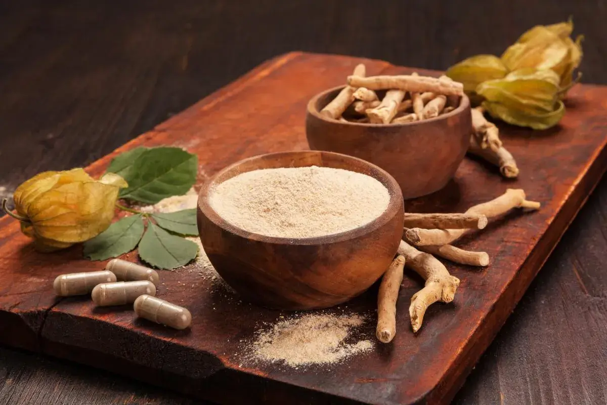 Raíces, polvo y cápsulas de ashwagandha. Considera las ashwagandha contraindicaciones antes de su uso.