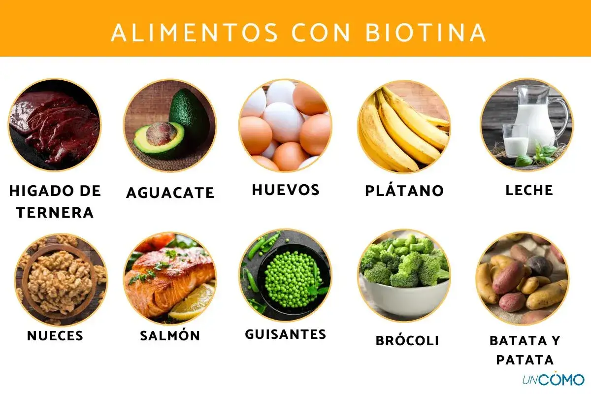 Alimentos con vitamina B7: hígado, aguacate, huevos, plátano, leche, nueces, salmón, guisantes, brócoli, batata y patata.