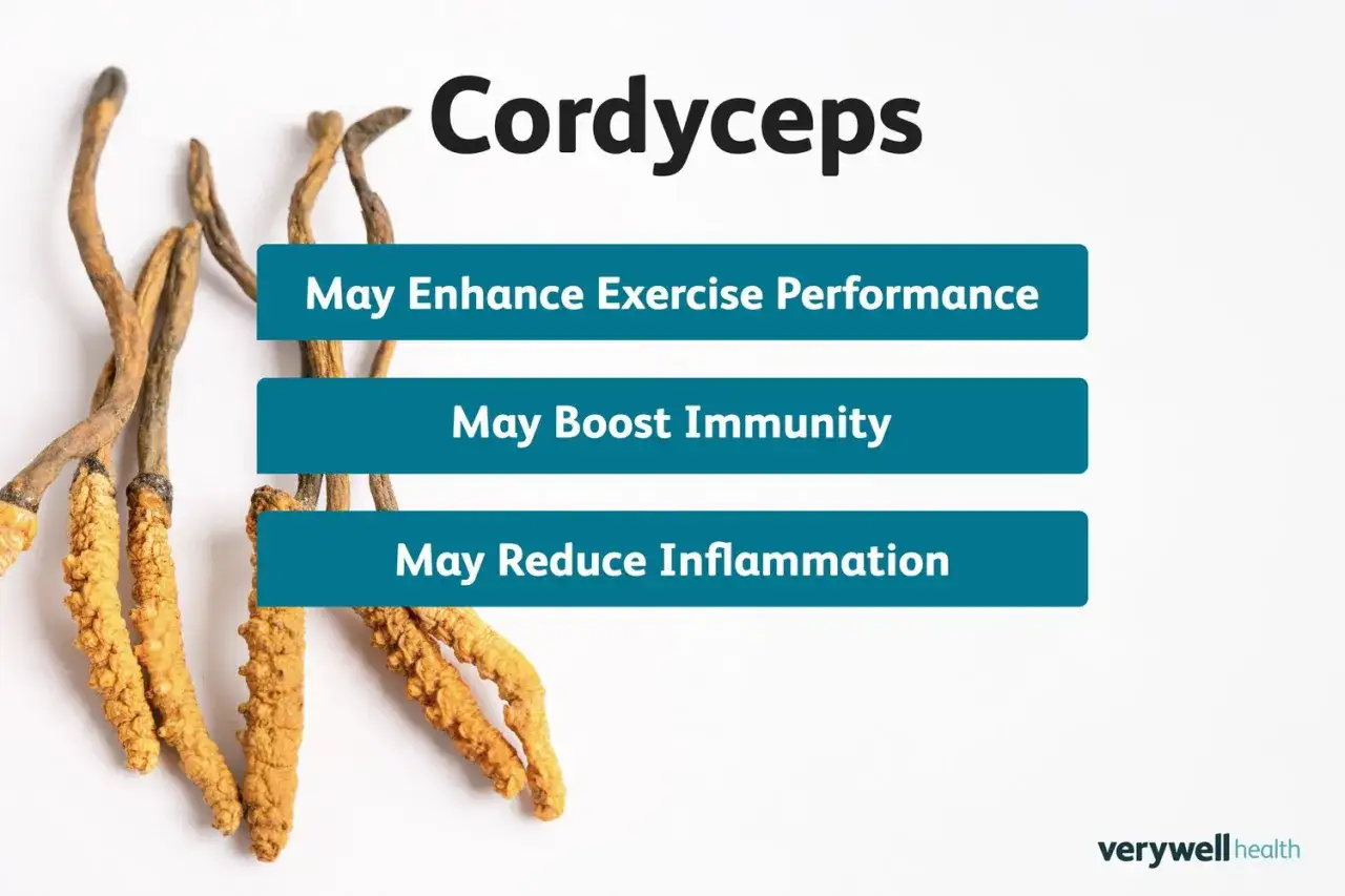 Cordyceps: mejora rendimiento, potencia inmunidad y reduce inflamaci&oacute;n. Descubre sus propiedades.
