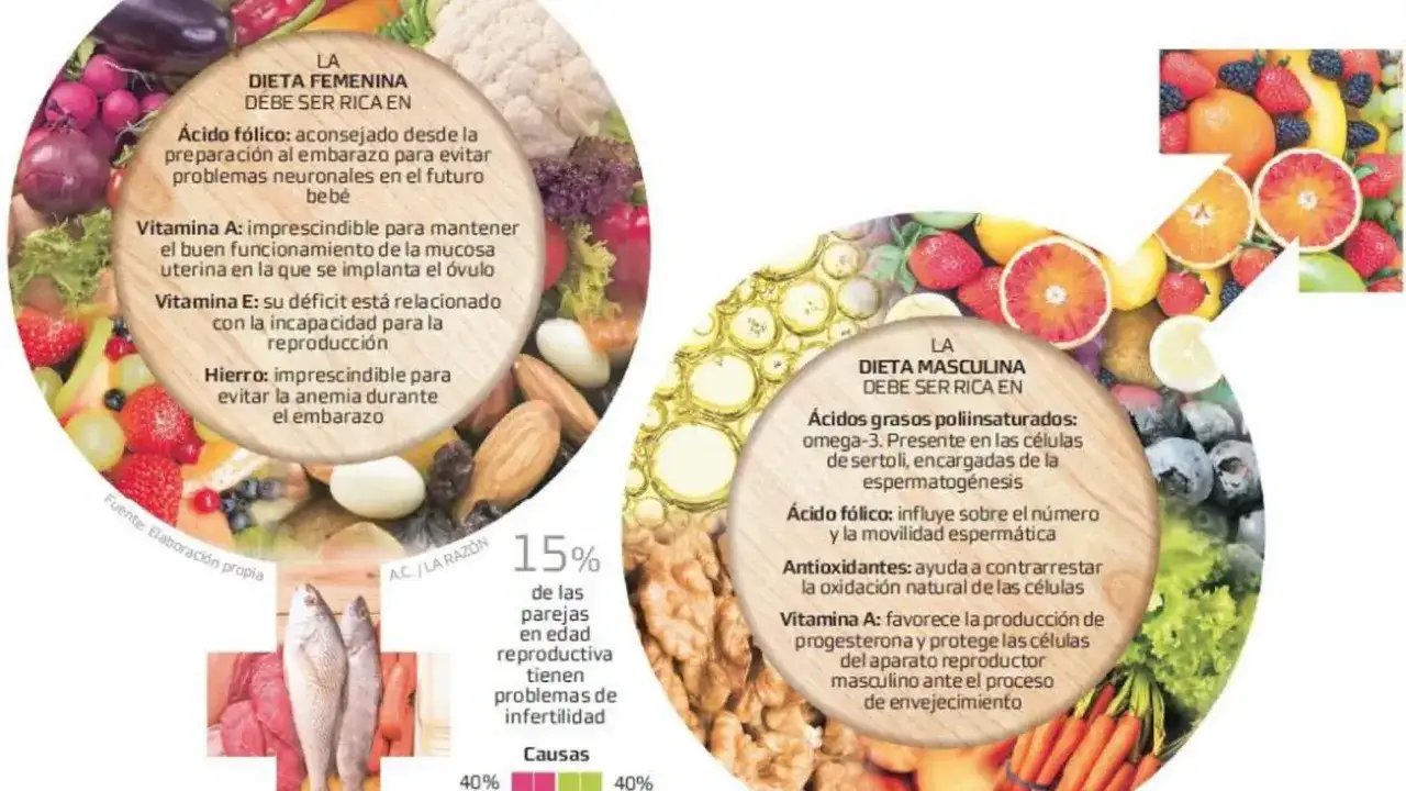 Dieta masculina: &aacute;cido f&oacute;lico para la movilidad esperm&aacute;tica. La imagen muestra frutas, verduras y frutos secos.