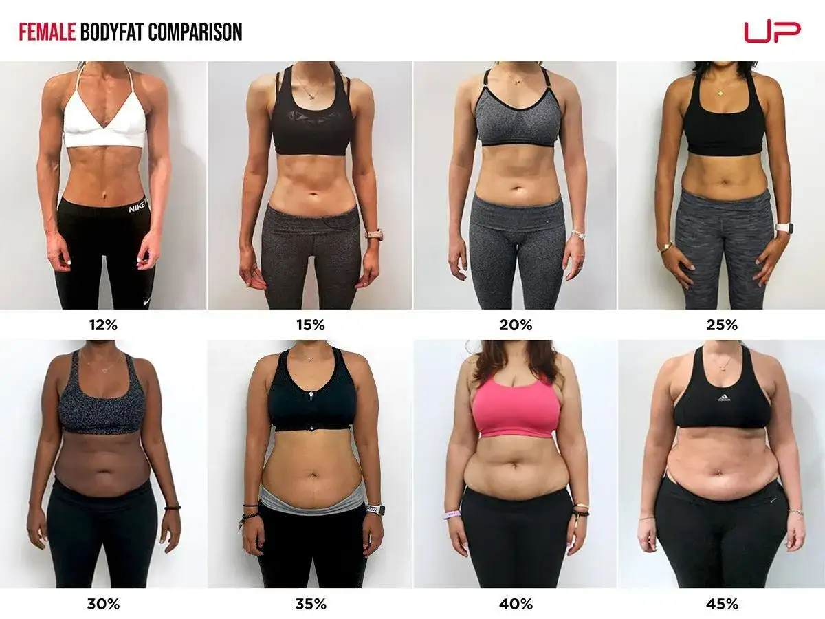 Comparaci&oacute;n de grasa corporal femenina: 12% a 45%. Muestra c&oacute;mo el m&uacute;sculo ocupa menos espacio que la grasa, respondiendo a qu&eacute; pesa m&aacute;s la grasa o el m&uacute;sculo.