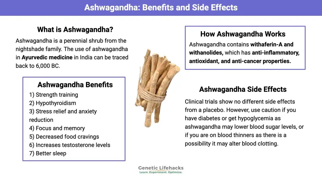 Ashwagandha: beneficios y contraindicaciones. Cautela si tienes diabetes o tomas anticoagulantes.