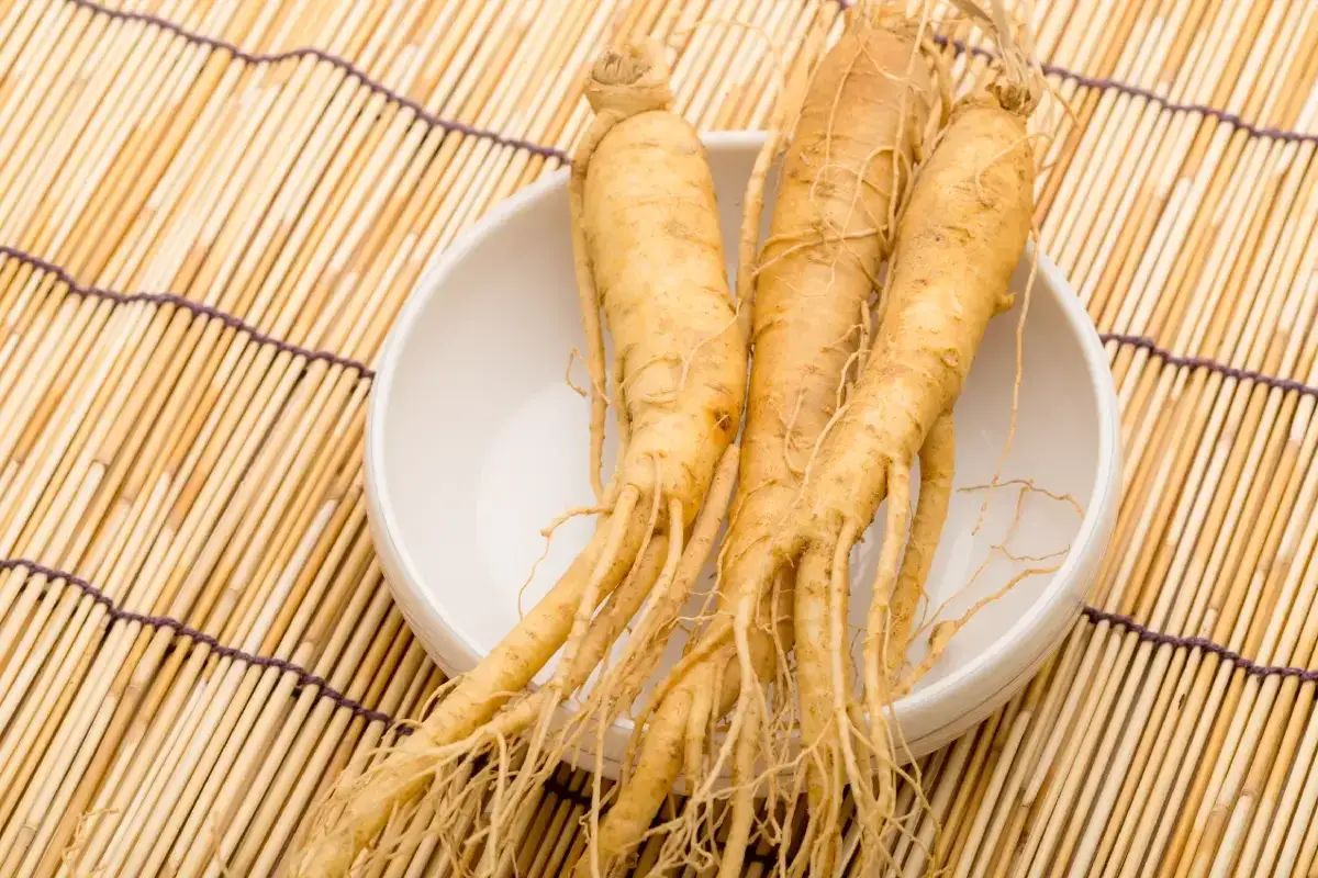 Ra&iacute;ces de ginseng en un cuenco blanco sobre una esterilla de bamb&uacute;, destacando sus propiedades medicinales.
