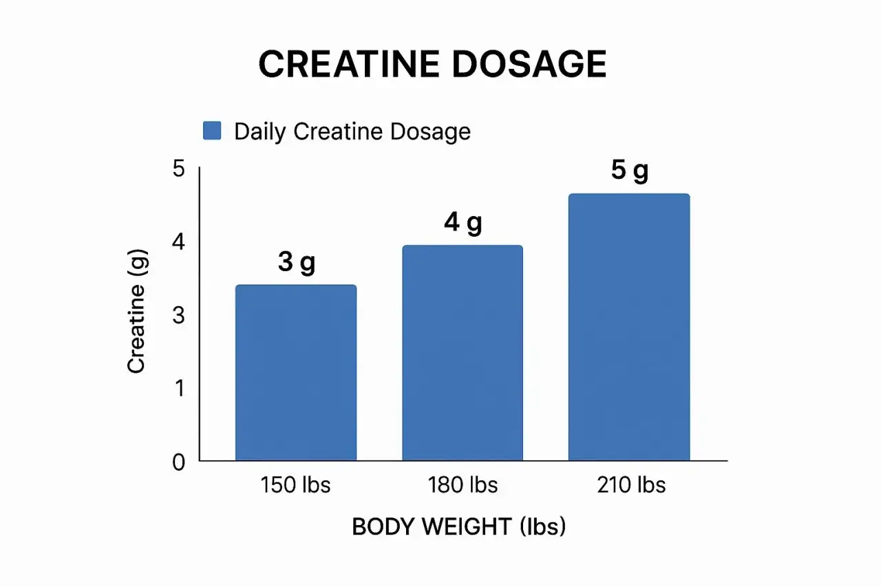 Gr&aacute;fico de barras muestra la dosis diaria de creatina por peso corporal. 150 lbs: 3g, 180 lbs: 4g, 210 lbs: 5g.