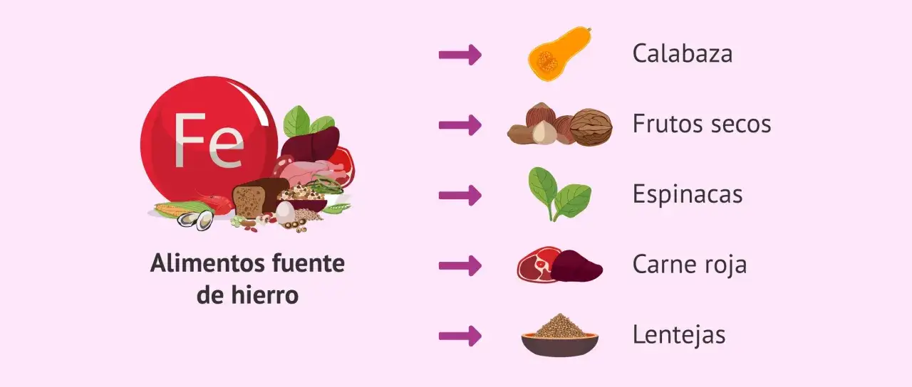 Alimentos ricos en hierro como espinacas, carne roja y lentejas son clave. Tomar hierro afecta la menstruaci&oacute;n, ayudando a reponer p&eacute;rdidas.