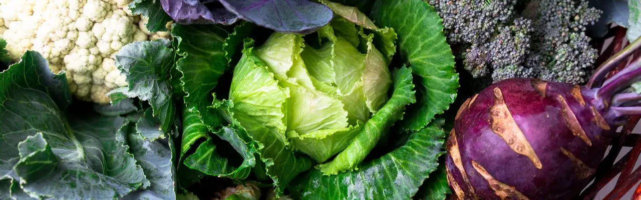 Coliflor, repollo verde y morado, br&oacute;coli y colinabo. Verduras ricas en indol 3 carbinol, perfectas para una dieta saludable.