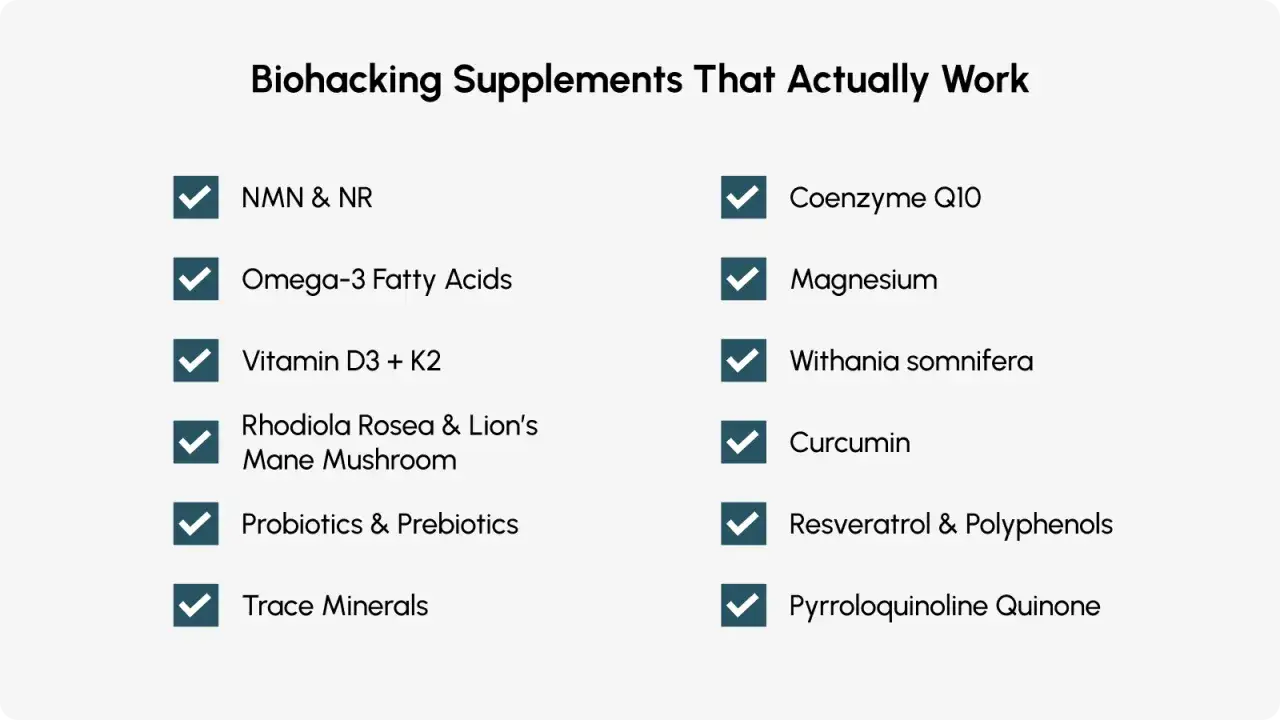 Lista de biohacking suplementos efectivos: NMN, Omega-3, Vitamina D3+K2, Rhodiola, Probi&oacute;ticos, CoQ10, Magnesio, Curcumina, etc.