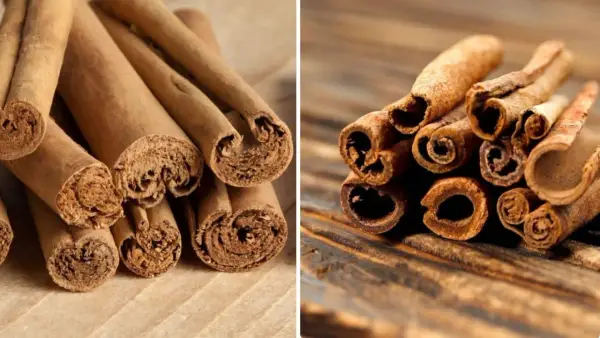 Primer plano de dos tipos de canela en rama, mostrando sus texturas y formas enrolladas.